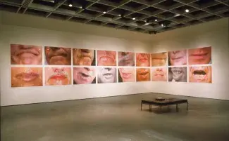 Two white gallery walls are filled by a grid of 18 large photographic prints of mouths. These closely cropped images are blown up large so the individual dots in the halftone pictures show. Each mouth is frozen mid-expression; mid way through a word, just about to speak or pursed shut in a word swallowing frown. The rest of the room is empty except for a black bench which rests on the cement floor towards the right wall.