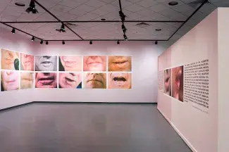 Two white gallery walls are filled by a grid of 12 large photographic prints of mouths. These closely cropped images are blown up large so the individual dots in the halftone pictures show. Each mouth is frozen mid-expression; mid way through a word, just about to speak or pursed shut in a word swallowing frown. There is a freestanding wall on the right side with two mouth photos and some unreadable black text printed in large vinyl lettering.