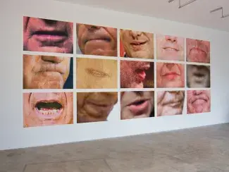 A white gallery wall is filled by a grid of 15 large photographic prints of mouths. These closely cropped images are blown up large so the individual dots in the halftone pictures show. Each mouth is frozen mid-expression; mid way through a word, just about to speak or pursed shut in a word swallowing frown. 