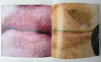 Image and Inscription: An Anthology of Contemporary Canadian Photography, Robert Bean, ed, Gallery 44 / YYZ Books, Toronto, 2005, 232 pp